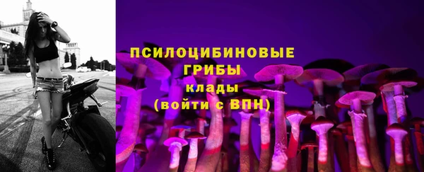 apvp Белокуриха