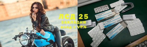 трава Беломорск