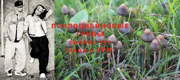 apvp Белокуриха