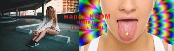 трава Беломорск