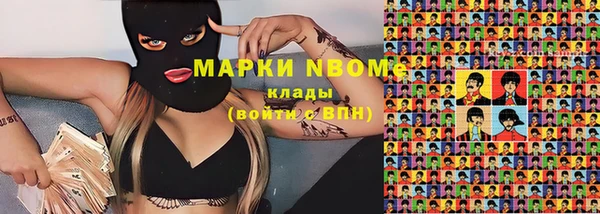 сатива Белоозёрский